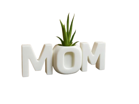 MOM Letter Planter – Perfect Gift for Mother’s Day