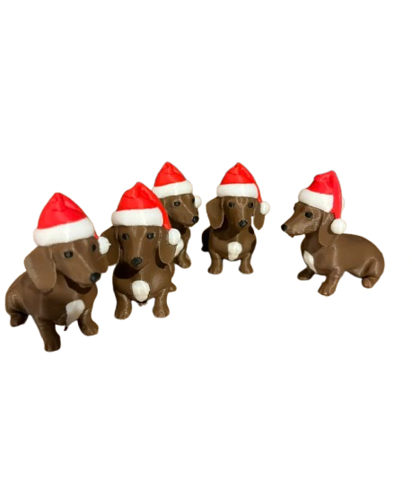 Christmas Puppy Dachshund